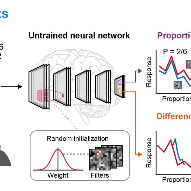 Comparison of visual quantities in untrained neural networks