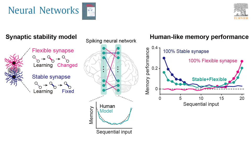 Distinct role of flexible and stable encodings in sequential working memory