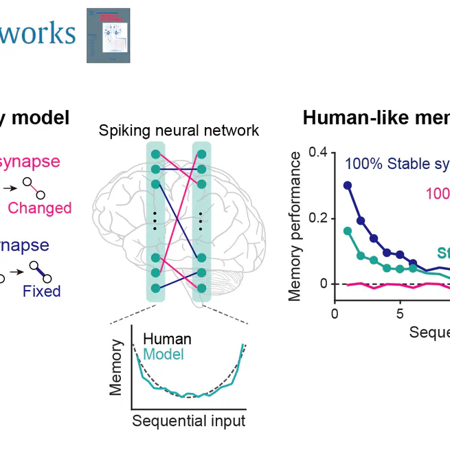 Distinct role of flexible and stable encodings in sequential working memory